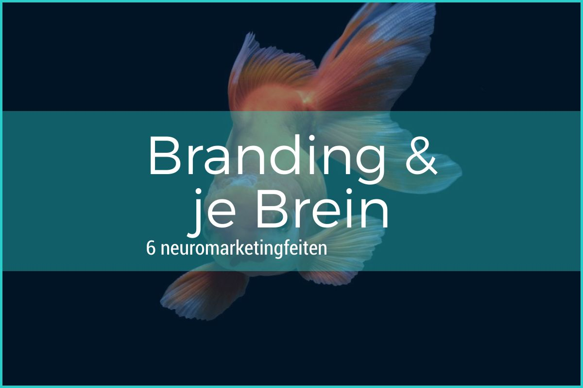 Branding en je brein: 6 opmerkelijke feiten over neuromarketing 5 blog 1200x800 layout1046 1h249gj